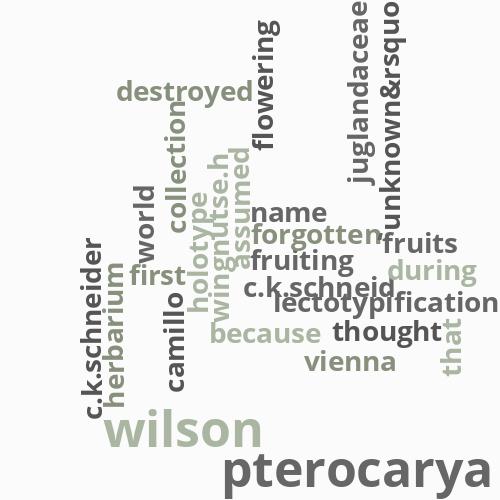 Lectotypification ...