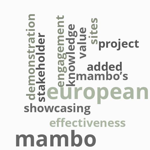 MAMBO’s contribution to the development ...
